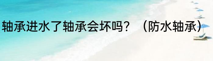 轴承进水了轴承会坏吗？（防水轴承）