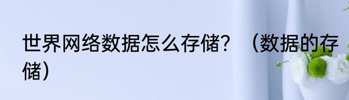 世界网络数据怎么存储？（数据的存储）