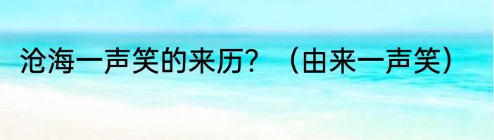 沧海一声笑的来历？（由来一声笑）