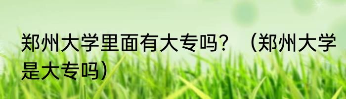 郑州大学里面有大专吗？（郑州大学是大专吗）