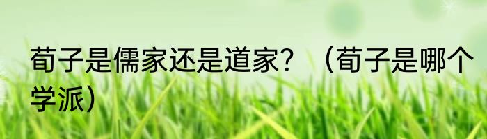 荀子是儒家还是道家？（荀子是哪个学派）