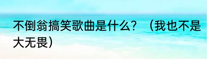 不倒翁搞笑歌曲是什么？（我也不是大无畏）