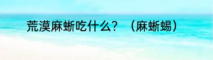 荒漠麻蜥吃什么？（麻蜥蜴）