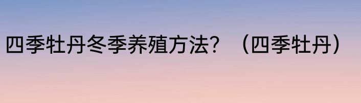 四季牡丹冬季养殖方法？（四季牡丹）