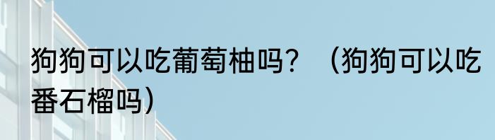 狗狗可以吃葡萄柚吗？（狗狗可以吃番石榴吗）