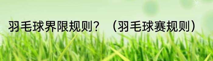 羽毛球界限规则？（羽毛球赛规则）