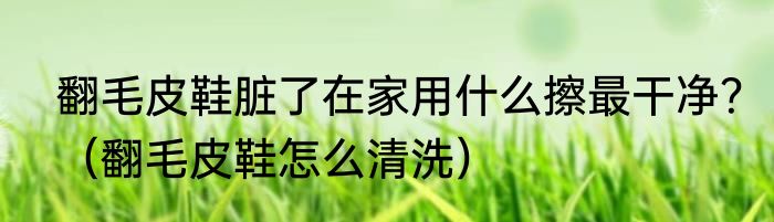 翻毛皮鞋脏了在家用什么擦最干净？（翻毛皮鞋怎么清洗）