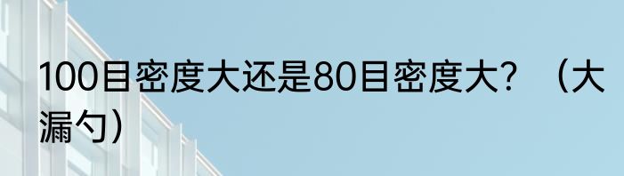 100目密度大还是80目密度大？（大漏勺）