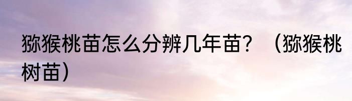 猕猴桃苗怎么分辨几年苗？（猕猴桃树苗）