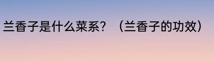 兰香子是什么菜系？（兰香子的功效）
