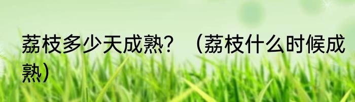 荔枝多少天成熟？（荔枝什么时候成熟）
