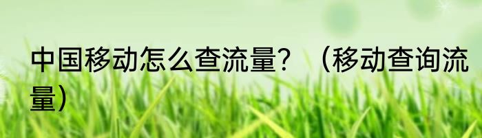 中国移动怎么查流量？（移动查询流量）