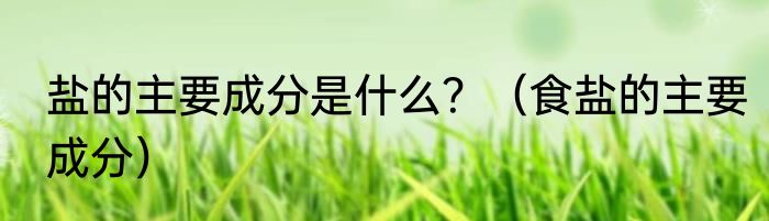 盐的主要成分是什么？（食盐的主要成分）