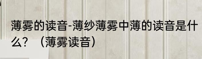 薄雾的读音-薄纱薄雾中薄的读音是什么？（薄雾读音）