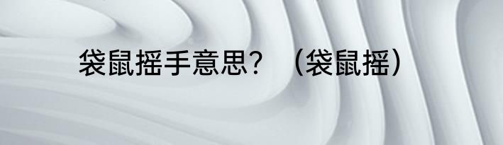 袋鼠摇手意思？（袋鼠摇）