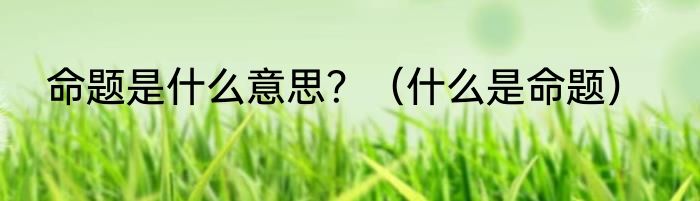 命题是什么意思？（什么是命题）