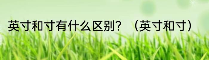 英寸和寸有什么区别？（英寸和寸）