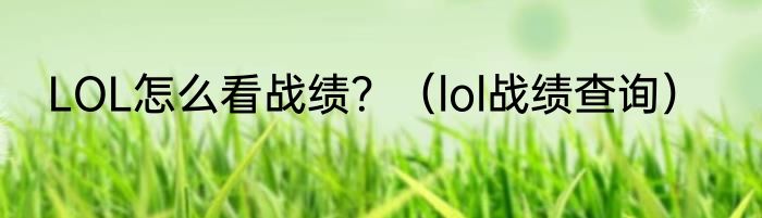 LOL怎么看战绩?(lol战绩查询)