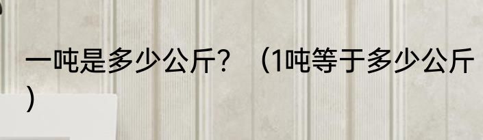 一吨是多少公斤？（1吨等于多少公斤）