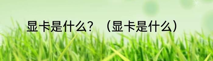 显卡是什么？（显卡是什么）