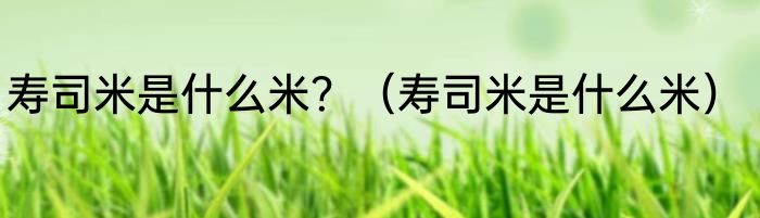 寿司米是什么米？（寿司米是什么米）