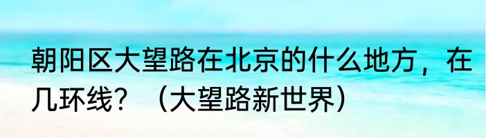 朝阳区大望路在北京的什么地方，在几环线？（大望路新世界）