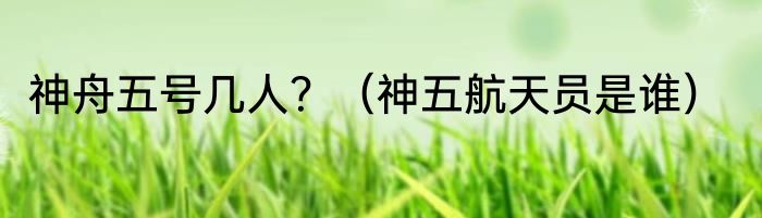 神舟五号几人？（神五航天员是谁）