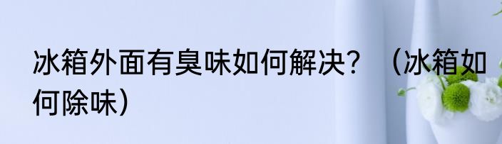 冰箱外面有臭味如何解决？（冰箱如何除味）