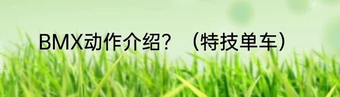 BMX动作介绍？（特技单车）