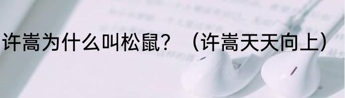 许嵩为什么叫松鼠？（许嵩天天向上）