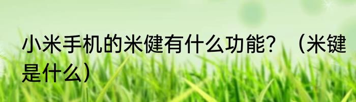 小米手机的米健有什么功能？（米键是什么）