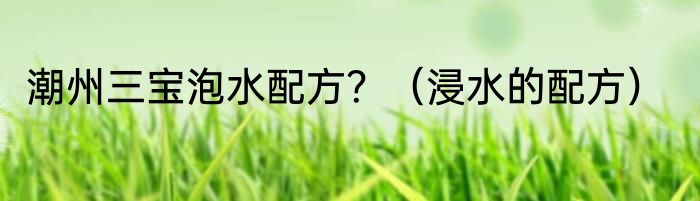 潮州三宝泡水配方？（浸水的配方）