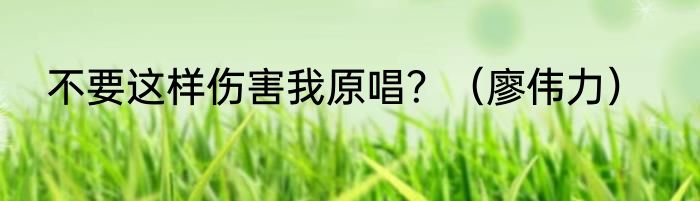 不要这样伤害我原唱？（廖伟力）