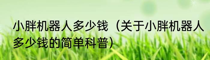 小胖机器人多少钱（关于小胖机器人多少钱的简单科普）