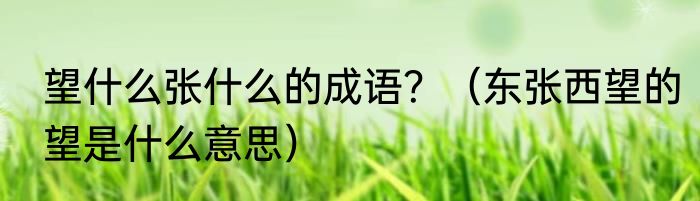 望什么张什么的成语？（东张西望的望是什么意思）