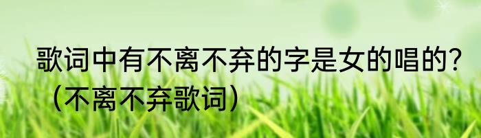 歌词中有不离不弃的字是女的唱的？（不离不弃歌词）