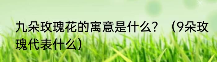 九朵玫瑰花的寓意是什么？（9朵玫瑰代表什么）