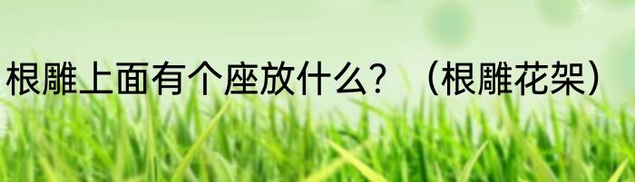 根雕上面有个座放什么？（根雕花架）