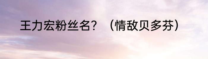 王力宏粉丝名？（情敌贝多芬）