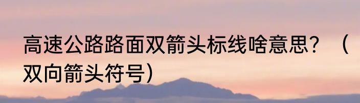 高速公路路面双箭头标线啥意思？（双向箭头符号）