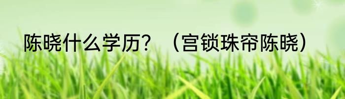 陈晓什么学历？（宫锁珠帘陈晓）