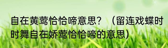 自在黄莺恰恰啼意思？（留连戏蝶时时舞自在娇莺恰恰啼的意思）