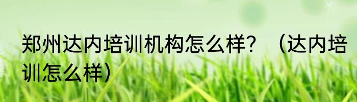 郑州达内培训机构怎么样？（达内培训怎么样）