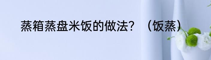 蒸箱蒸盘米饭的做法？（饭蒸）