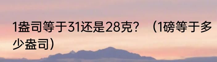1盎司等于31还是28克？（1磅等于多少盎司）