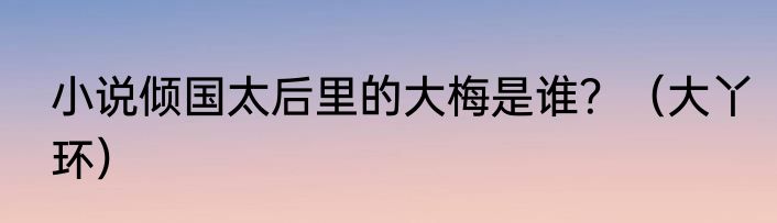 小说倾国太后里的大梅是谁？（大丫环）