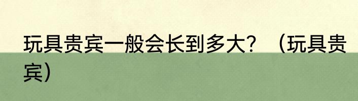 玩具贵宾一般会长到多大？（玩具贵宾）