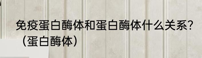 免疫蛋白酶体和蛋白酶体什么关系？（蛋白酶体）