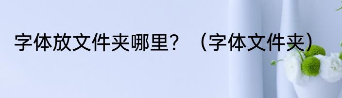字体放文件夹哪里？（字体文件夹）