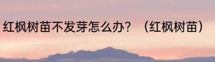 红枫树苗不发芽怎么办？（红枫树苗）
